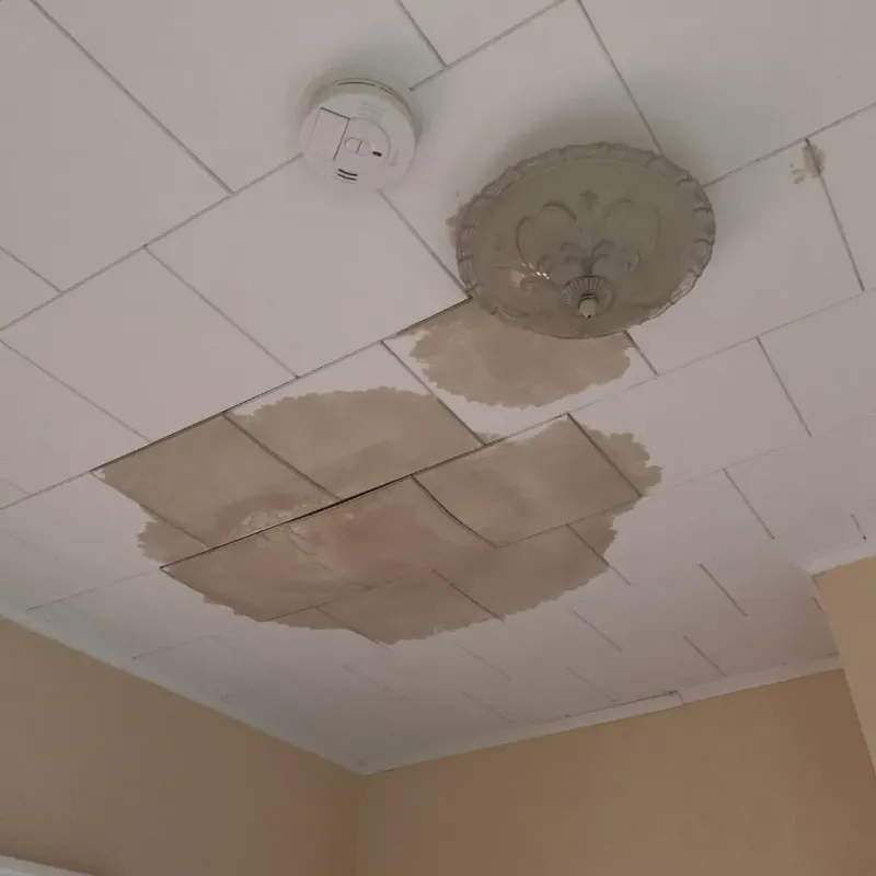 Ceiling Water Damage Repair in Bradford, ME