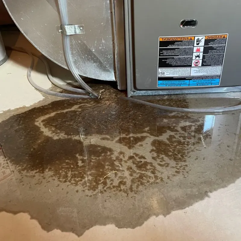 Pipe Burst and Leak Restoration in Bradford, ME
