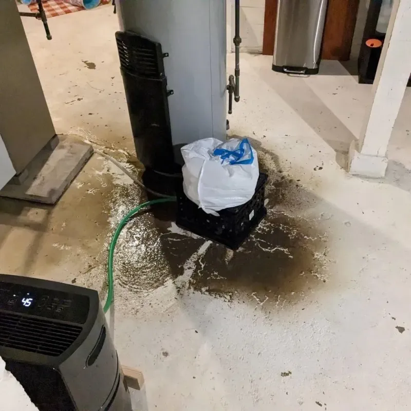 Sewage Backup Cleanup Service in Bradford, ME